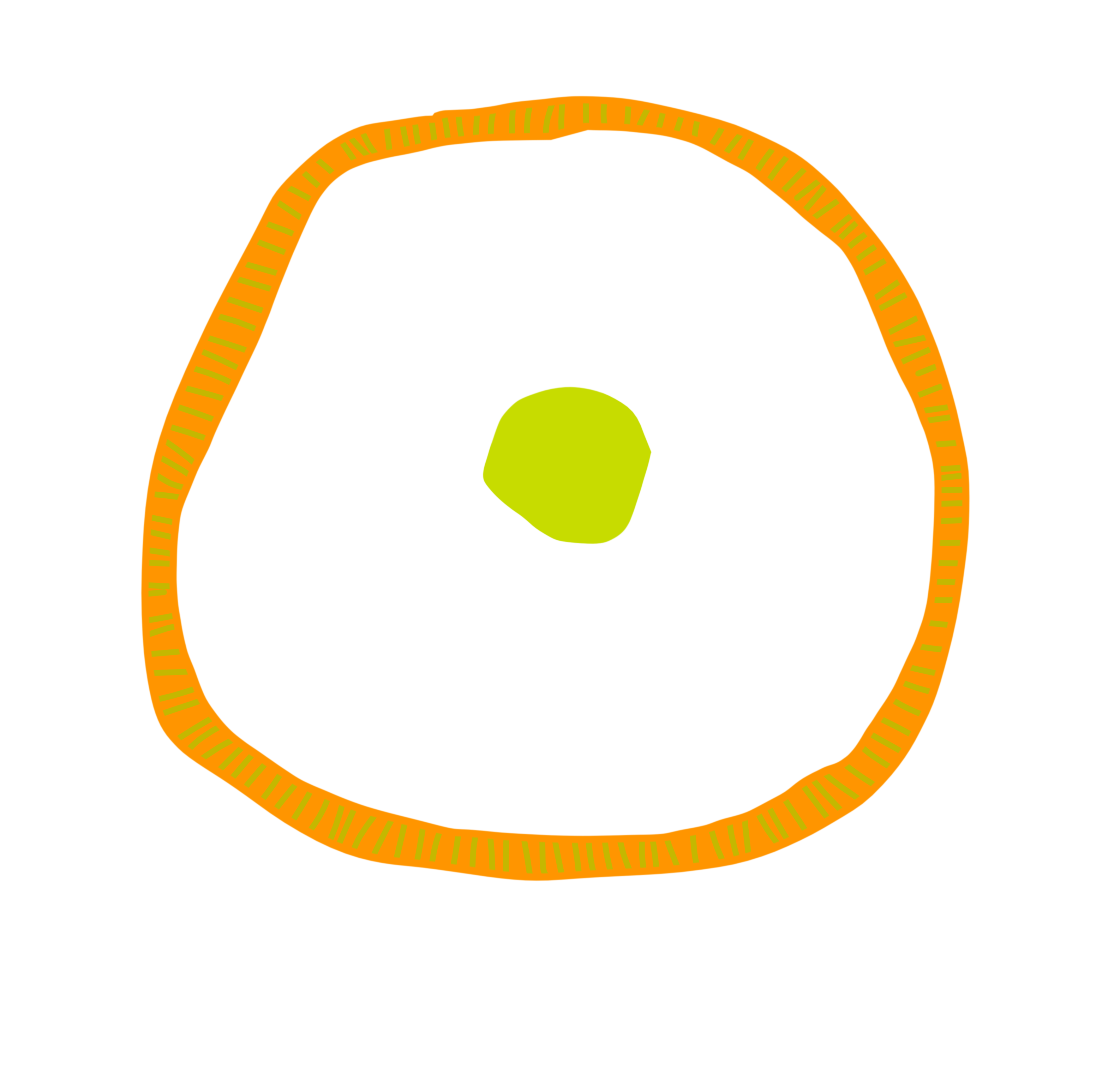 Together for Treaty campaign